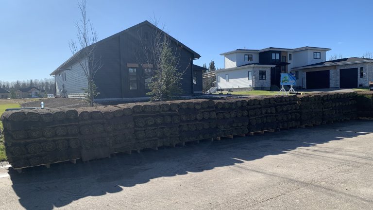 Photo 2023-10-17, 1 00 13 PM